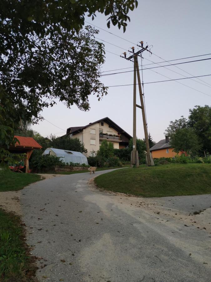 Apartmán Eko Kmetija Gerbec Grahovo Exteriér fotografie